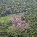 JBS 인터내셔널 이미지