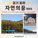 경기파주 타프와 수영장이 있는 캠핑장 『자연의꿈』 초리존 8번 후기