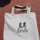 11500-22-10-31 | 제22회 영등포구 연맹회장배 육상대회 - 10km 마라톤 참가 후기