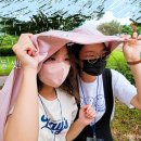 (주)늘품플러스 - 4917 | (주)늘품플러스