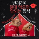 아이펫 동물병원 이미지