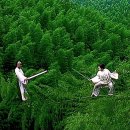 와호장룡