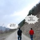 고고씽 이미지