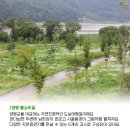 질울고래실마을 이미지