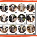 달뜨는 마을 보금자리 이미지