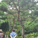 석현목장 이미지