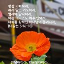 이구원: 만날 때마다 얼굴 볼 때마다 '감사, 고맙, 덕분입니다'를 표현하자. 살전5:16-18 이미지