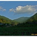 신촌교 밑 이미지