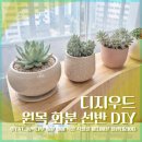 원목 화분 선반 DIY 후기 (베란다 동백나무 옆 플랜테리어 꾸미기)