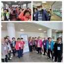 샛팽이경로당 이미지