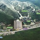 하이원 여행사