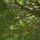 국내여행 팔순남도여행(7) 이미지