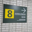 바다회세꼬시