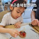 곤충연구소 실내 이미지