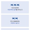 블루리본(BR) 이미지