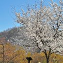천안 캠핑장 오시유 글램핑 카라반 감성 캠핑