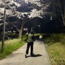 두발자유 - 서구 | 7세 두발 킥보드 추천, 마이크로 스프라이트 3개월 사용 후기, 세발 킥보드와 비교