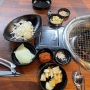 은행나무갈매기 이미지