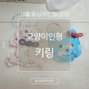 새활용섬유인형공예 고양이