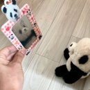 네이처컬렉션전주 - 전주시 완산구 홍산남로 56 | 10월 둘째주