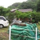 원동펜션 이미지