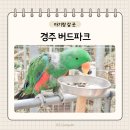 신기한 동식물여행 2 | 경주 버드파크 유모차 입장료 할인 경주 실내 아이랑 가볼만한 곳