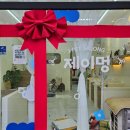 제이멍 | 천안 신부동 강아지 미용 제이멍 후기