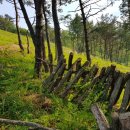 두월농장 이미지