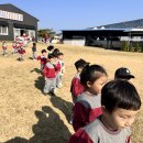 🐑동물농장🐏귀여운 동물들아 우리가 갈게~! 동물농장으로 출발!! - 잔디밭&amp;먹이주기(1) 이미지