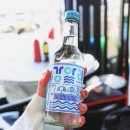 조은낙지 | 민락어민활어직판장 조은상회에서 회 떠서 등대횟집 후기