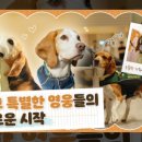 국토정보공사 동쪽 이미지
