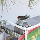 바릇 | 거제도 해물라면 맛집 지세포 소노캄거제 와현해수욕장 바릇