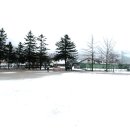 미곡초등학교 이미지