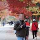 새울병원 이미지