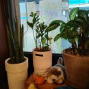 산호동125 이미지