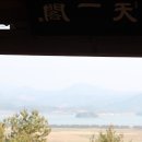 강진 백련사, 다산초당 그리고 무위사 홍매화 이미지