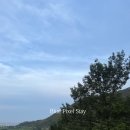 블루픽셀 스테이 이미지