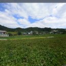 동해시-51 이미지