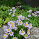 한마당노래연습장 이미지