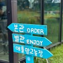벳내린 | 제주 애플망고빙수 맛집 서귀포 카페 추천 벳내린