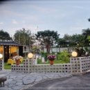 등뼈 감자탕 등갈비 이미지