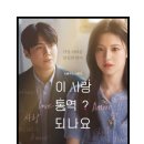 꽃사랑커피하우스 | 📺 이 사랑 통역 되나요? 1화 리뷰 & 리틀 커피 하우스 방문기