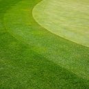 주식회사 레이크우드 이미지