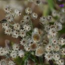 해운모텔 이미지