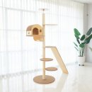 오로라 캣 이미지