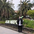 제주돈돼지 이미지