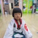 용인대명인태권도 이미지