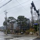 카페 소솜 | [파주 카페 소솜 후기]갈릴리농원 영수증 10% 할인되는 갤러리 감성 카페 (파주드라이브 필수 코스)