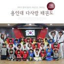 용인대 대동 태권도 이미지
