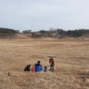 강릉송이 이미지